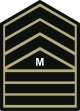 PHIL ARMY MSG WOODLAND.svg