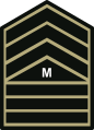 Master sargeant insignia Philippine Army