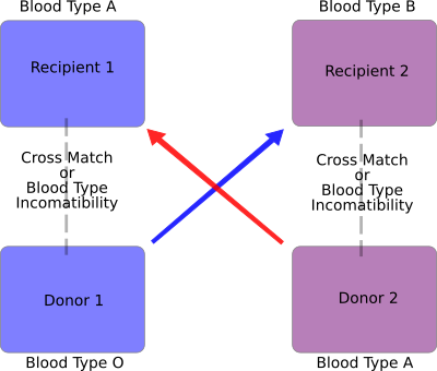 Diagram of an exchange between otherwise incompatible pairs.