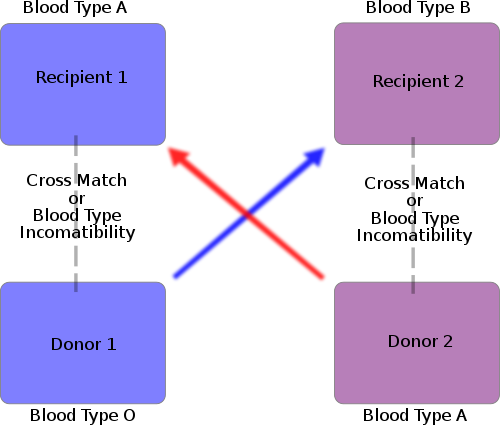 Diagram of an exchange between otherwise incompatible pairs