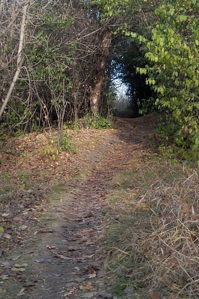 File:Path - Saskatoon.jpg