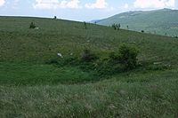 Habitat Pelatea klugiana habitat podgorje01.jpg