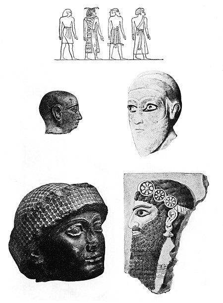 Tập_tin:Physical_Anthropology_of_Semites_and_Sumerians._Wellcome_M0008448.jpg