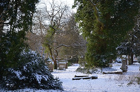 Pirmasens Alter Friedhof 04 Jan 16