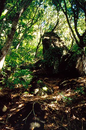 Pitcairn: Géographie, Géologie, Flore et faune