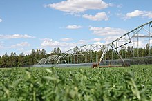 Pivot irrigation is supplied with water from the Orange River. Pivot irrigation in Orania.jpg