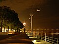 Ponte Vasco da Gama by night.JPG
