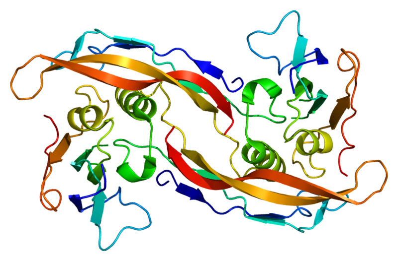 File:Protein BMPR1A PDB 1es7.png