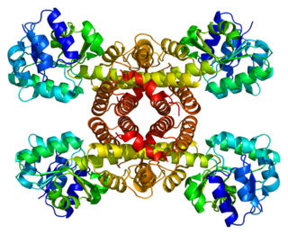 3-hydroxyisobutyrate dehydrogenase Protein-coding gene in the species Homo sapiens