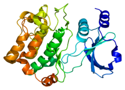 Protein PAK6 PDB 2c30.png