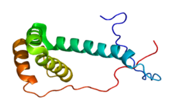 Белок PDCD5 PDB 2cru.png