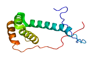 <span class="mw-page-title-main">PDCD5</span> Protein-coding gene in the species Homo sapiens