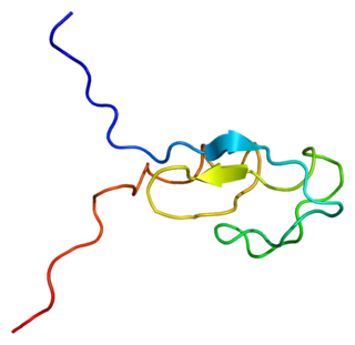 <span class="mw-page-title-main">PRKCG</span> Protein-coding gene in the species Homo sapiens