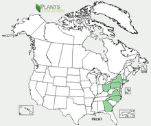 Prunella laciniata ауқымы map.png
