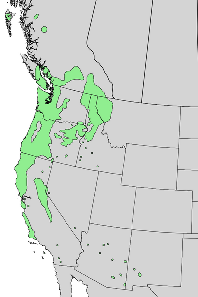 File:Prunus emarginata range map 4.png