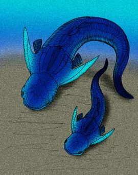 Quasipetalichthys