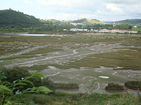 Ría de Tina Menor (Val de San Vicente, Cantabria) 04.jpg