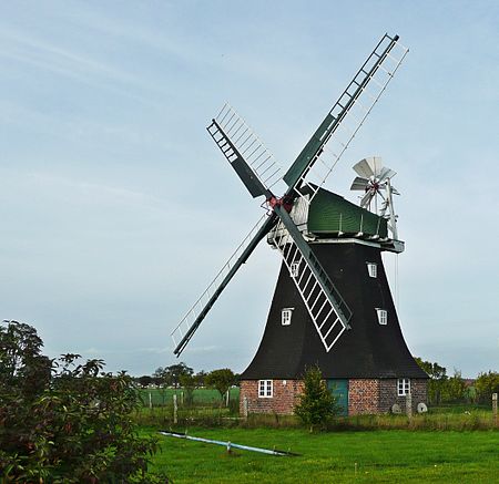 Rövershagen Holländerwindmühle (01 2)