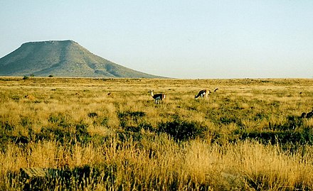 Get to know the Karoo around Kimberley.