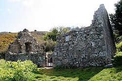 Raheenachluig Church. Bray.jpg