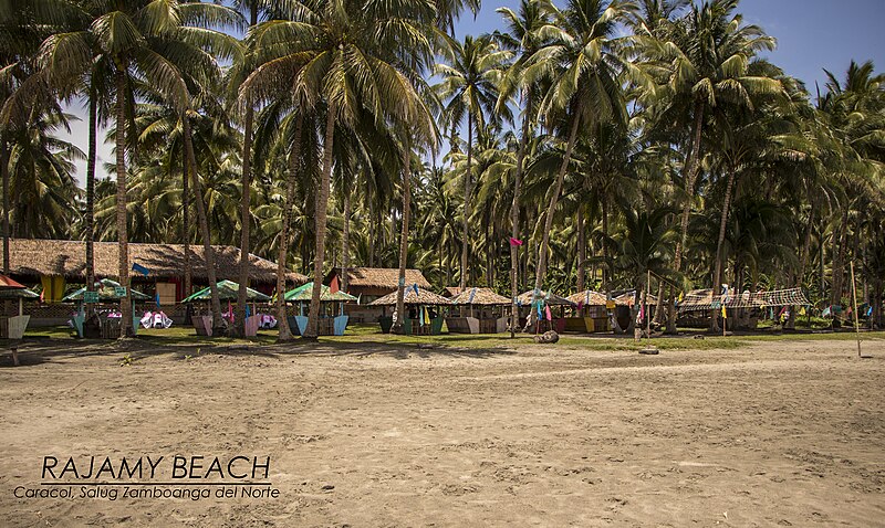 File:Rajamy beach.jpg