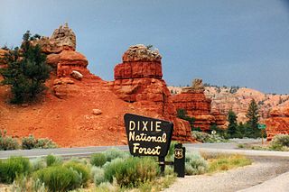 <span class="mw-page-title-main">Dixie National Forest</span> US National Forest in Utah