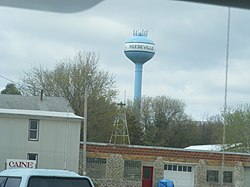 Reeseville tower - panoramio.jpg