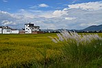 Rice fields and the town of Xizhou.JPG