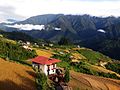 * Nomination A scenic view of ripening wheat fields in Western Bhutan. By User:Ajtjohnsingh --PJeganathan 10:19, 20 June 2017 (UTC) * Decline  Oppose Overexposed walls and clouds. Not fixable IMHO. --C messier 12:46, 24 June 2017 (UTC)