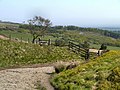 Thumbnail for File:Rivington Moor, Brown Hill - geograph.org.uk - 2959967.jpg