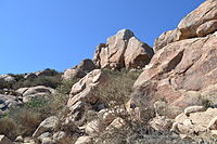 Rocce sulla sommità del Bishop Peak.