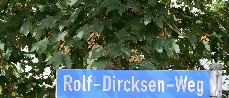 File:Rolf-Dircksen-Weg in Wremen.jpg