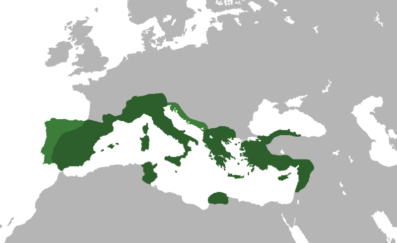 File:Roman Republic-61BC.png