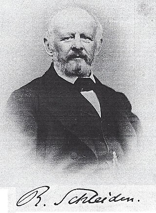 Rudolf Schleiden