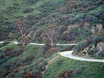 Runyon Canyon Park