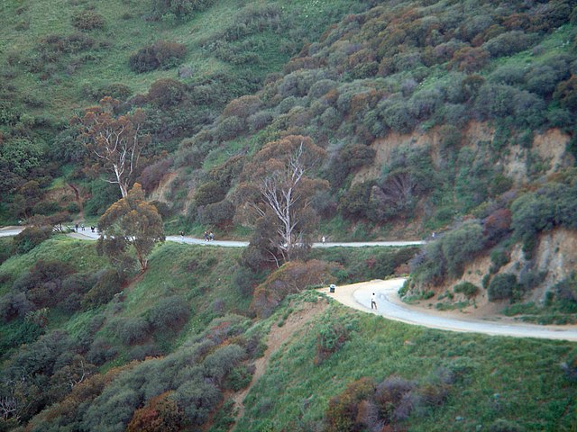 Canyon Road - Wikipedia