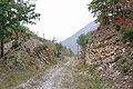 en: Disused trackbed of the old narrow gauge mainline from Belgrade to Sarajevo near Kotroman. In 2004 this section was rebuilt as part of the Sarganska osmica heritage railway project. de: Stillgelegte Bahntrasse der früheren schmalspurigen Hauptbahn von Belgrad nach Sarajevo bei Kotroman. Ab 2004 wurde dieser Abschnitt als Teilstück des Museumsbahnprojekts Sarganska osmica wieder aufgebaut.