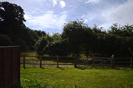 Sawston Hall Meadows 2