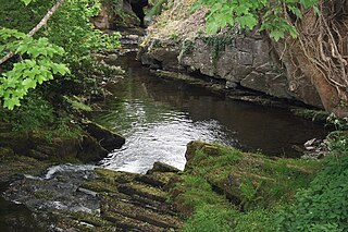 <span class="mw-page-title-main">Silver River (Ireland)</span> River