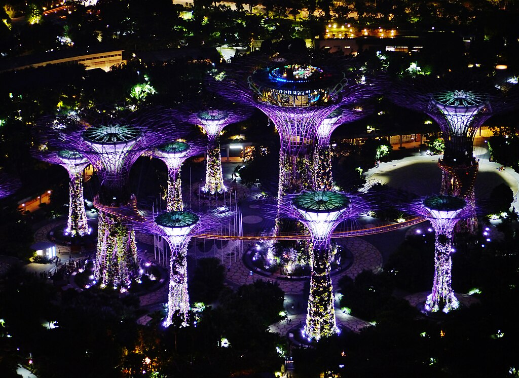 Singapore Gardens by the Bay viewed from Marina Bay Sands bei Nacht 10