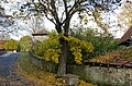 Ortsmauer Am Tanzberg Richtung Norden weitere Bilder