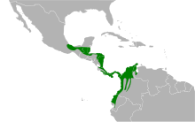 Mapa sporophila funerea.svg