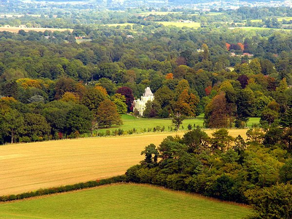 A distant view of Stargroves