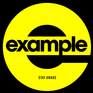 <span class="mw-page-title-main">Stay Awake (Example song)</span> 2011 single by Example