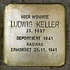 Stolperstein Am Weissen Stein 19 Keller Ludwig