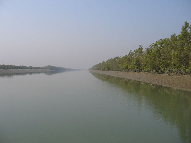 File:Sunderbans 059.jpg