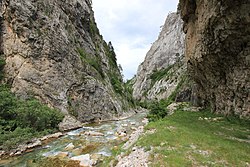 Sutjeska River 1.jpg
