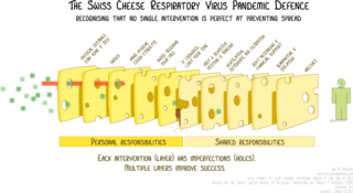 Swiss cheese model