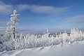 2008年10月29日 (水) 13:12時点における版のサムネイル