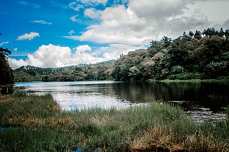 Telaga Renjeng Brebes Jawa Tengah.jpg